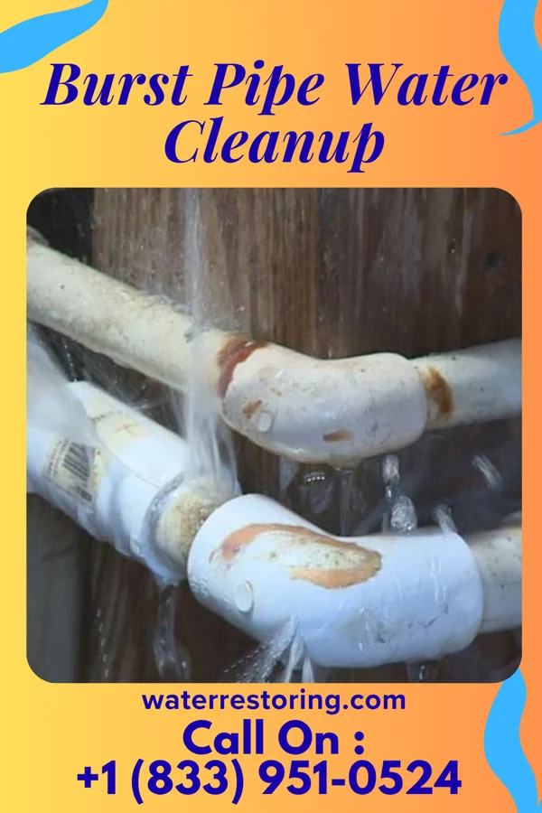 Burst Pipe Water Cleanup in Cuyahoga Heights, OH