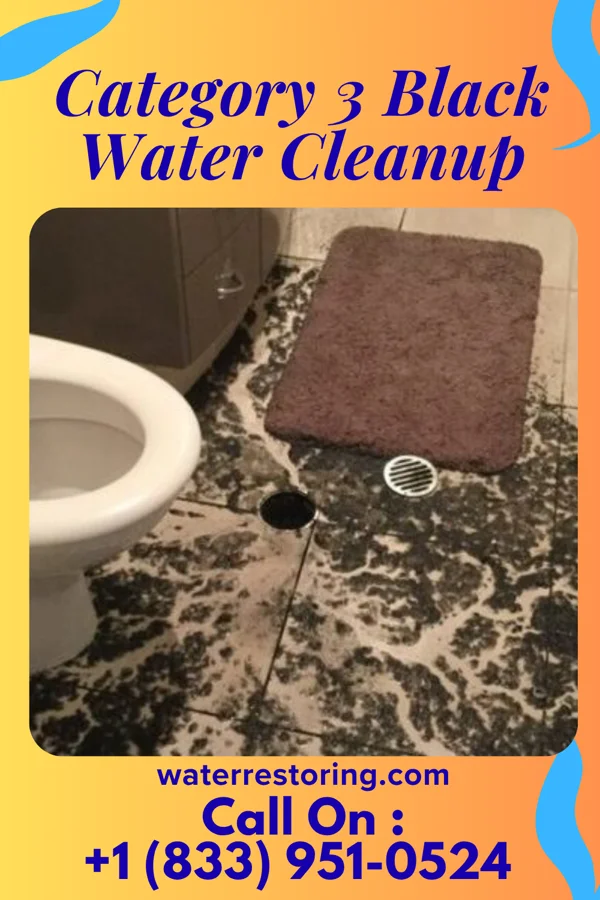 Category 3 Black Water Cleanup in Cuyahoga Heights, OH