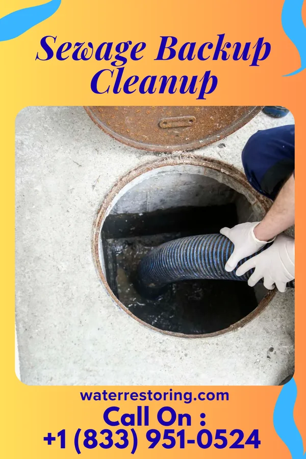 Sewage Backup Cleanup in Cuyahoga Heights, OH
