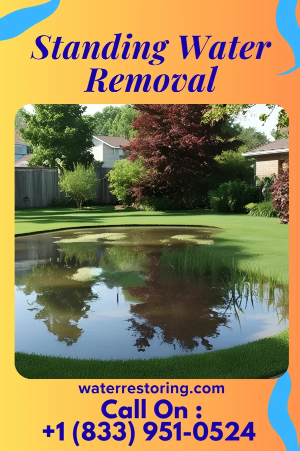 Standing Water Removal in Cuyahoga Heights, OH